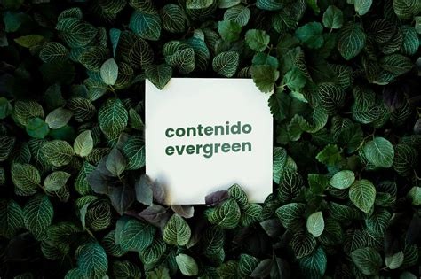 Contenido Evergreen: La Clave para el Éxito en Marketing Digital